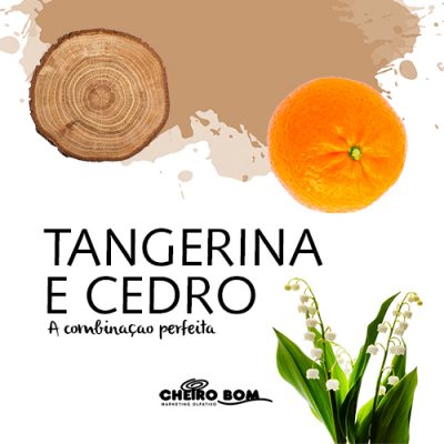 Aromatizador de Ambiente - Tangerina e Cedro