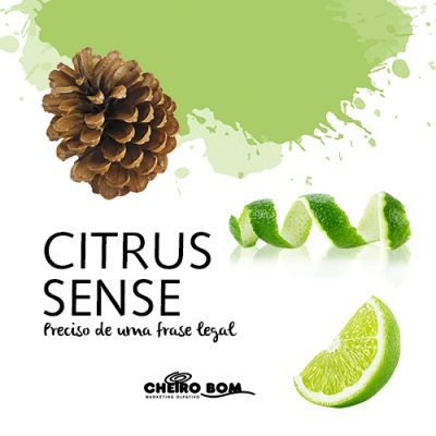 citrus sense-4
