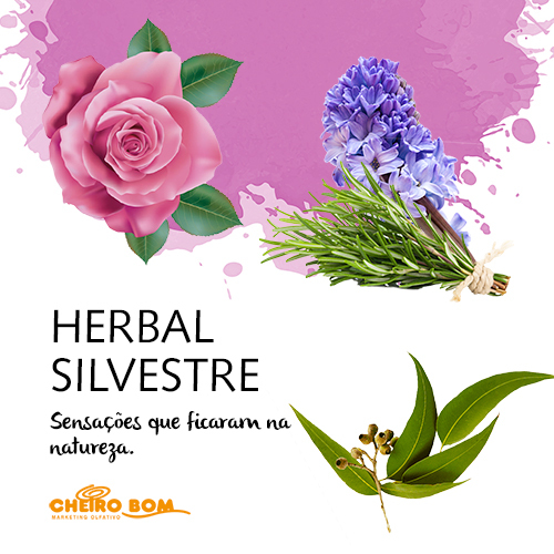 Herbal Silvestre
