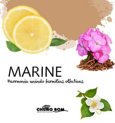 Aromatizador de Ambiente - Marine
