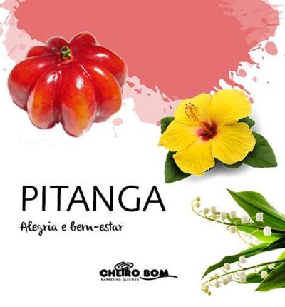Aromatizador de Ambiente - Pitanga