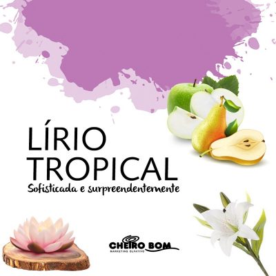 Lirio Tropical